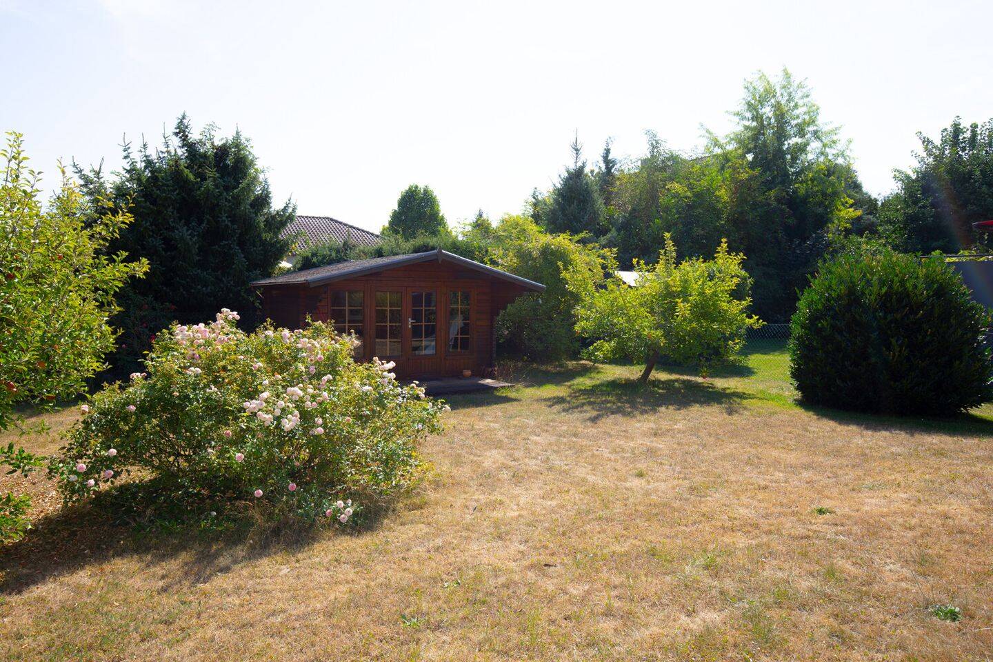 Bild 7