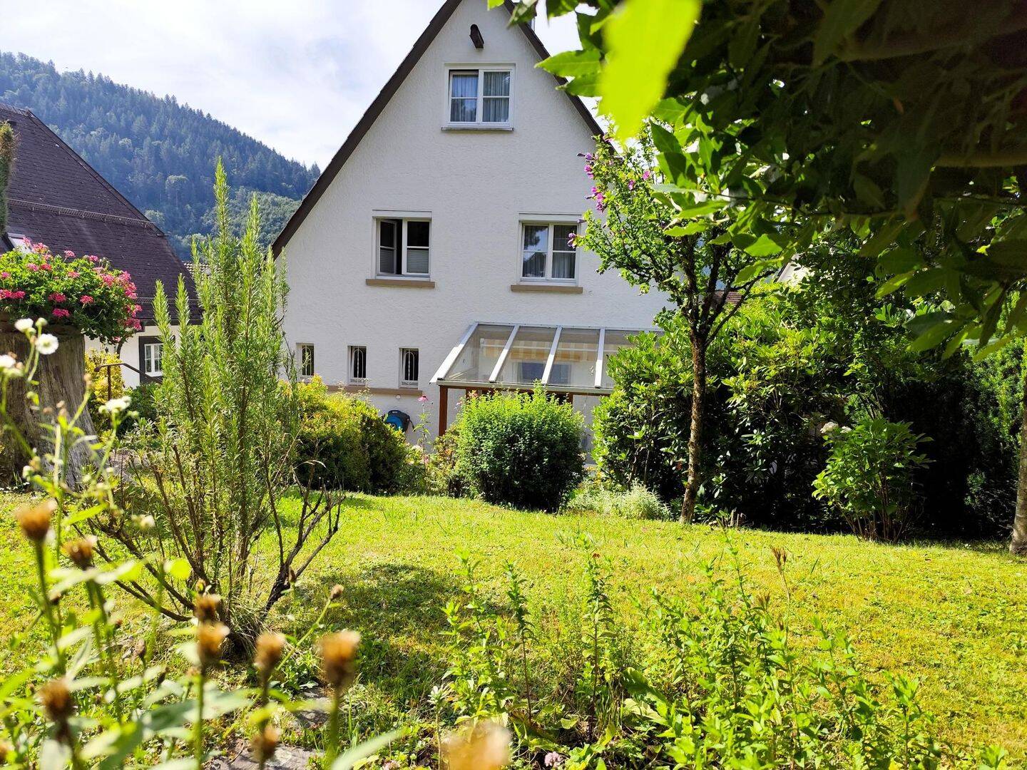 Bild 5