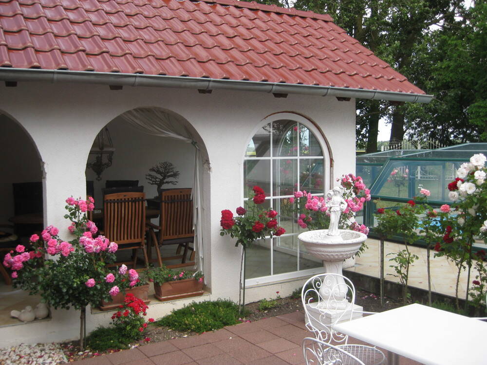 Bild 8
