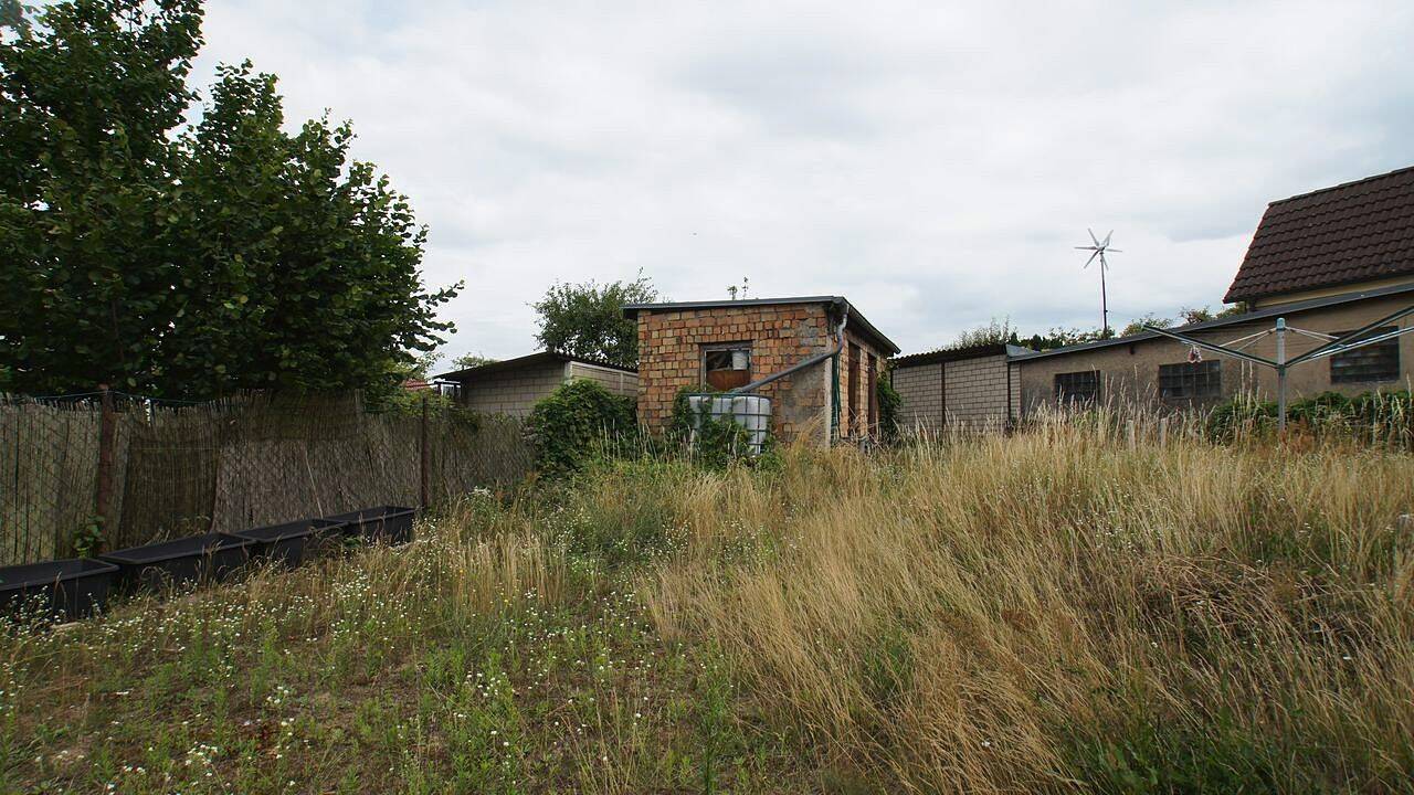 Bild 7