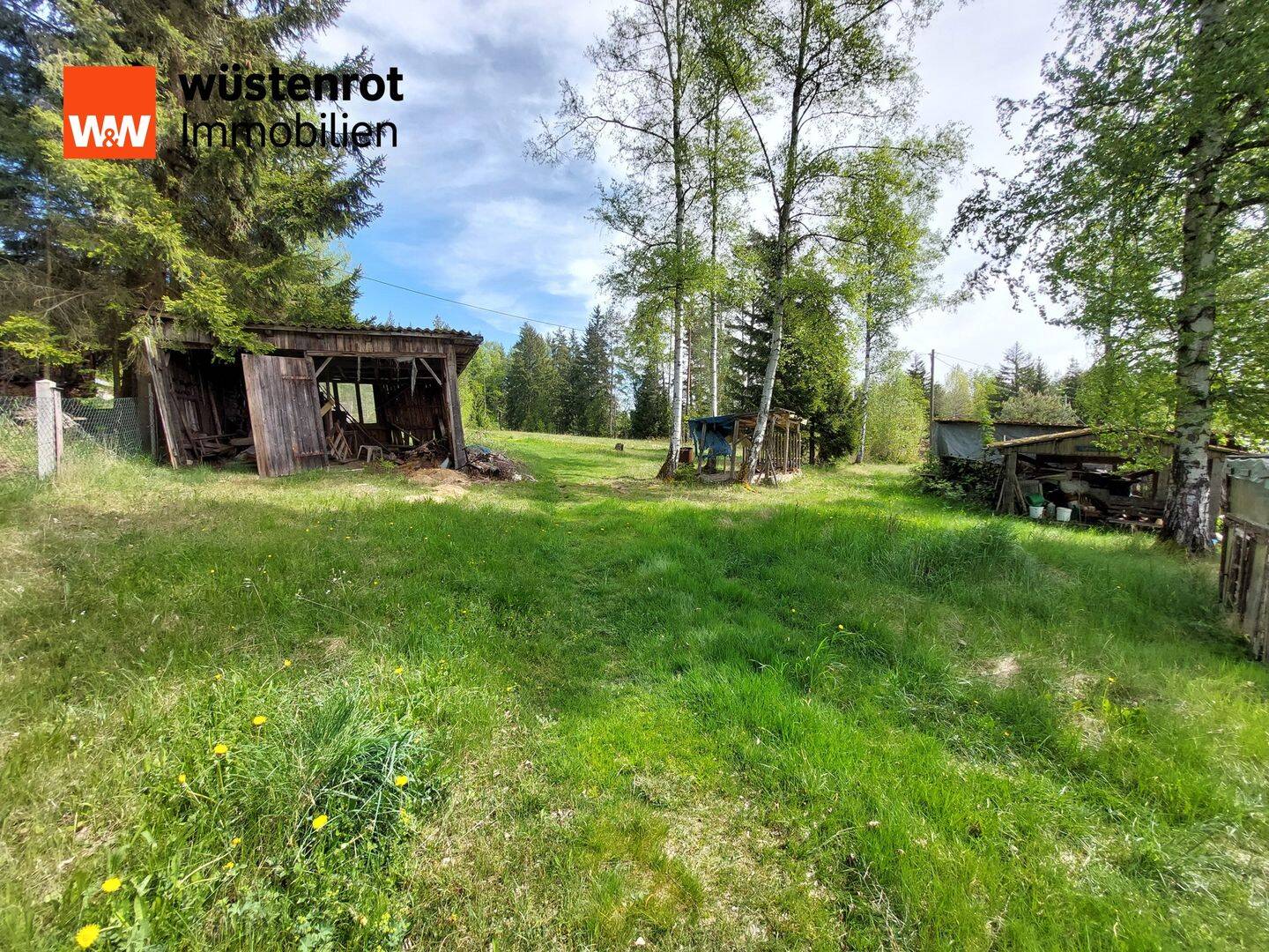 Bild 12