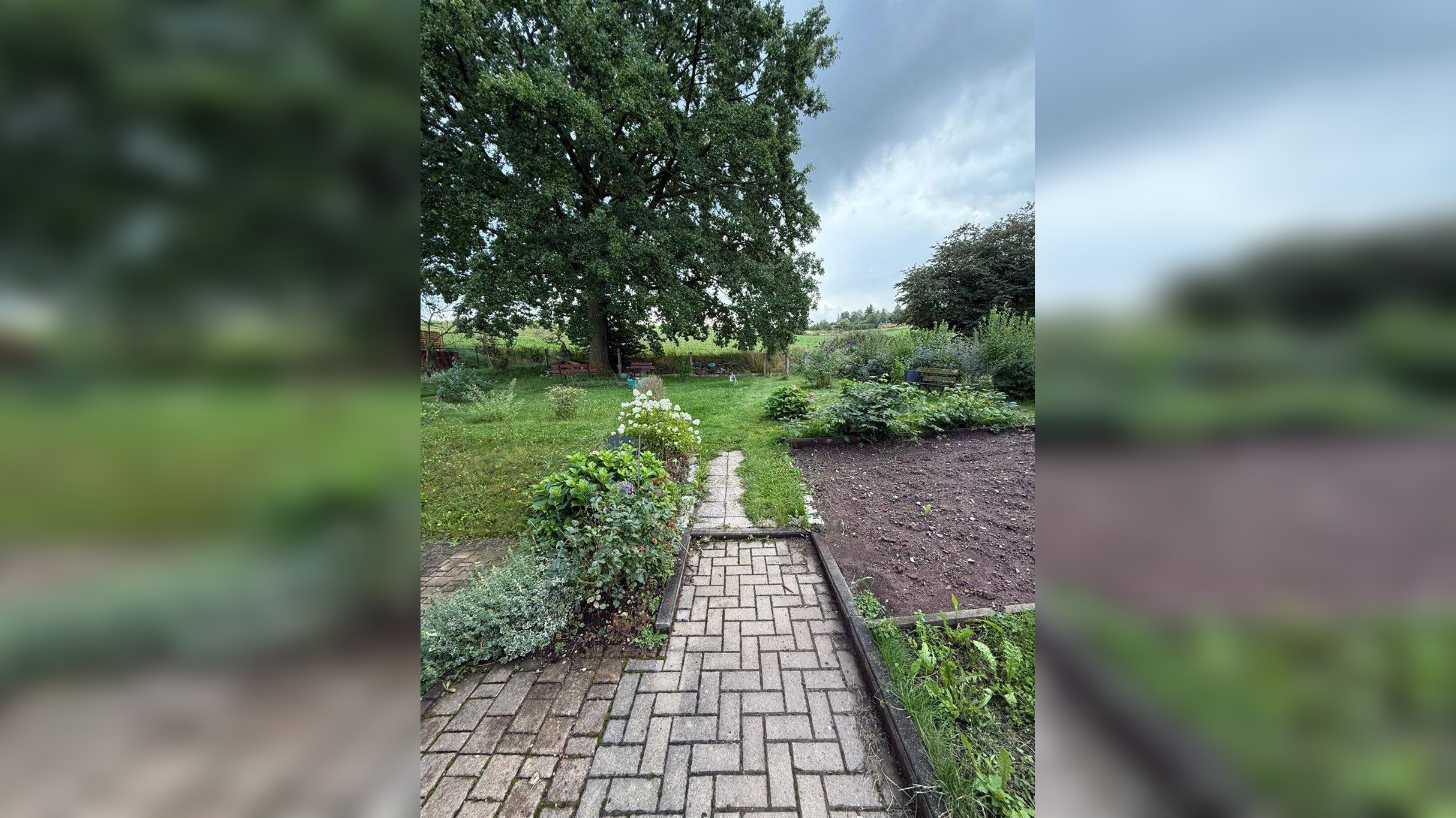 Bild 14
