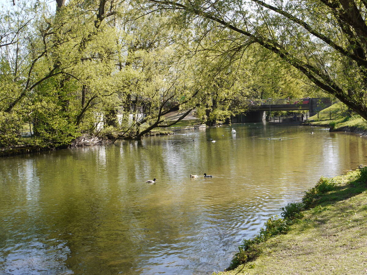 Bild 7