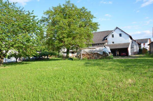 Bild 7