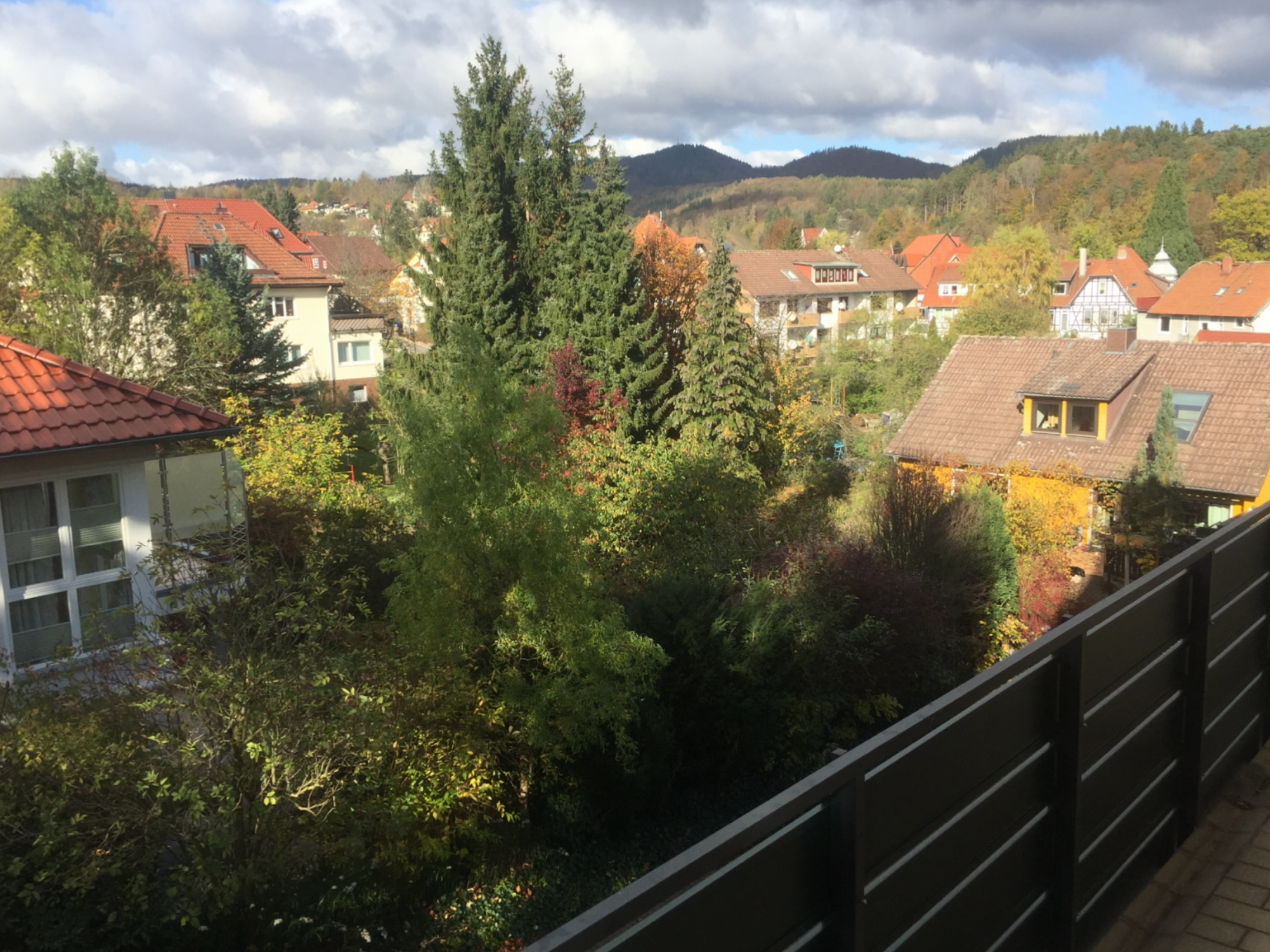 Bild 7