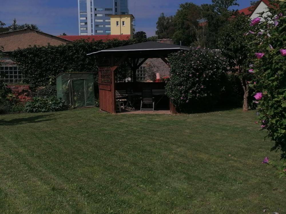 Bild 7