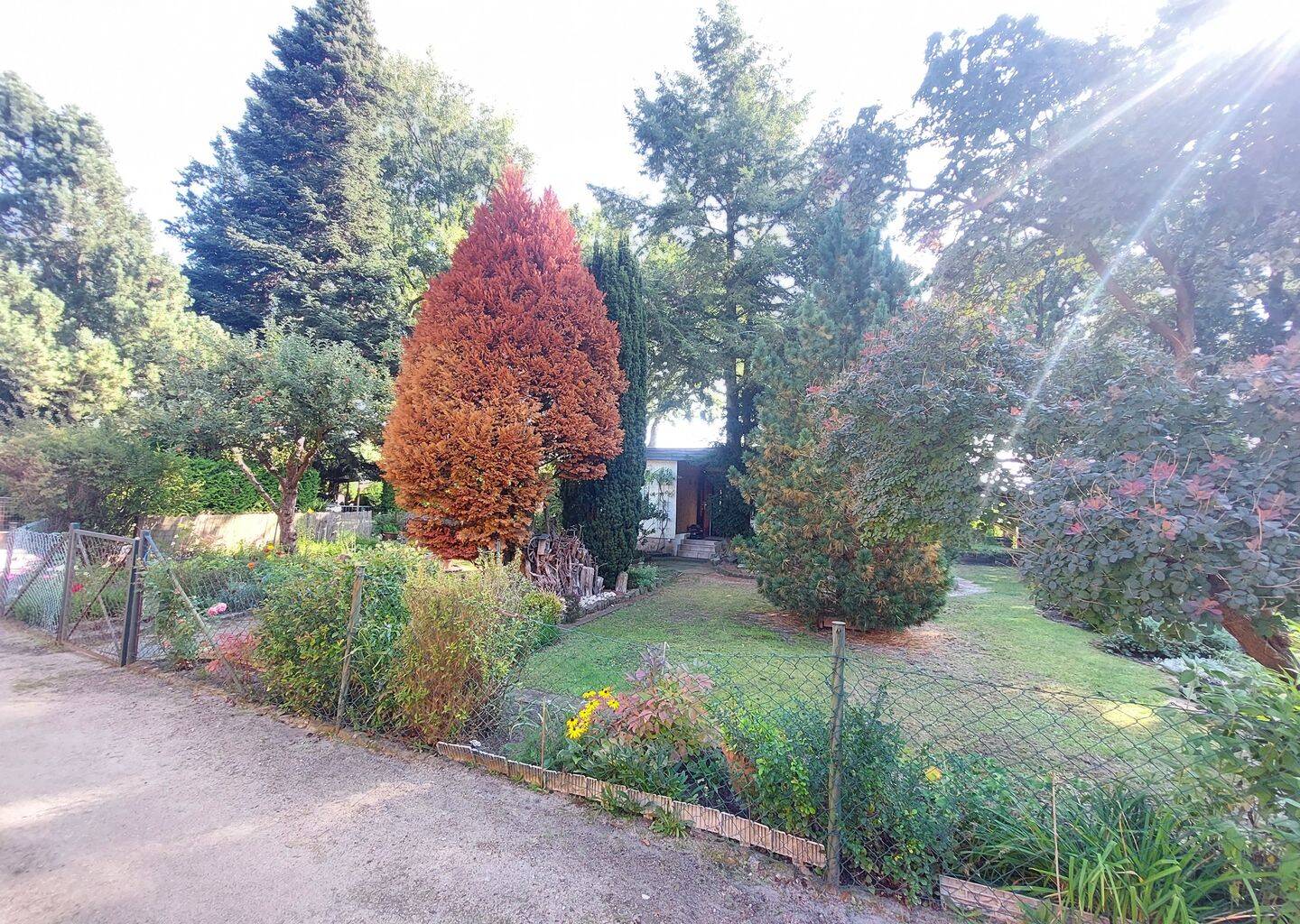 Bild 11