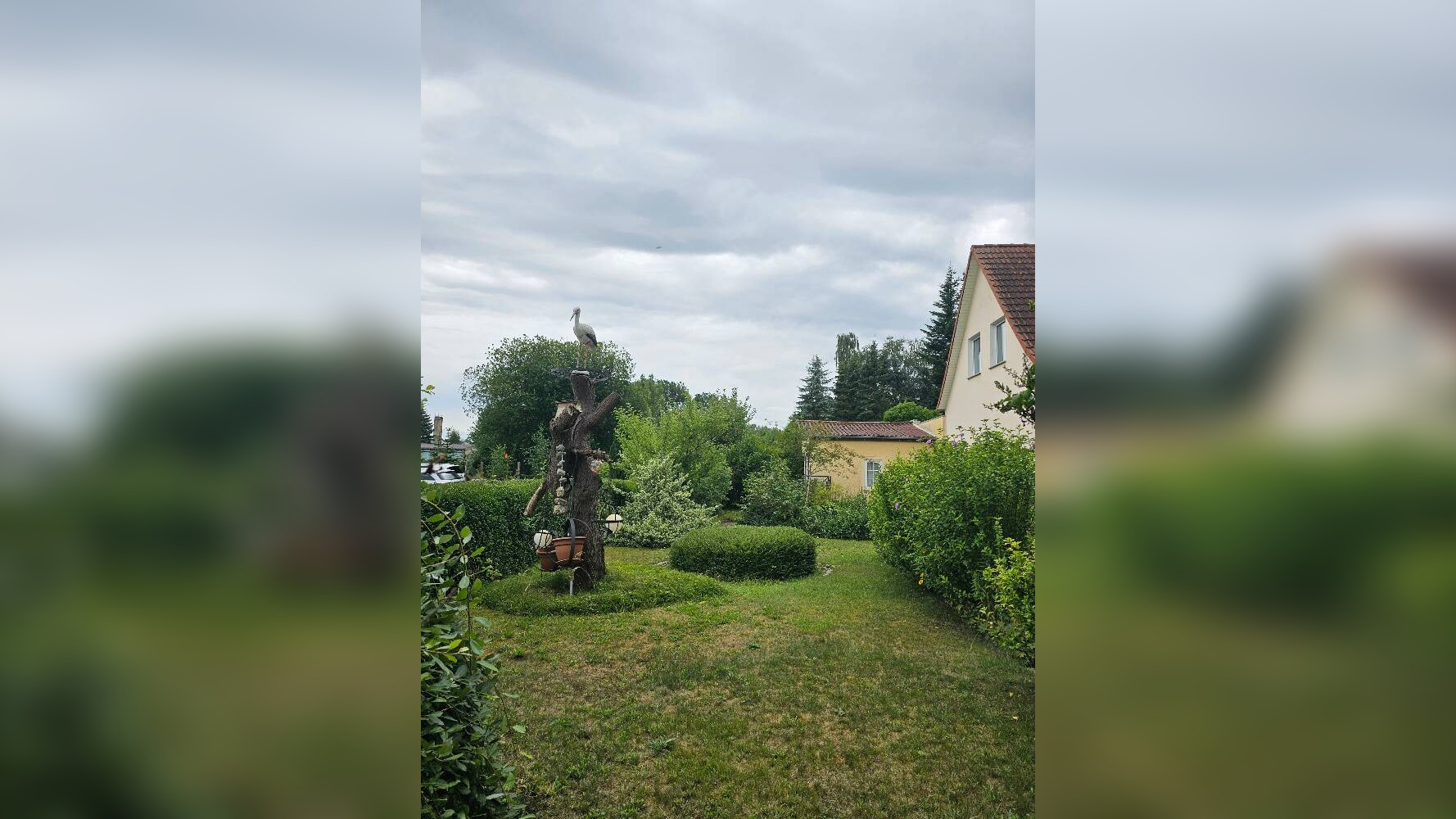 Bild 12