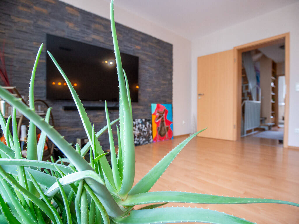 Bild 14