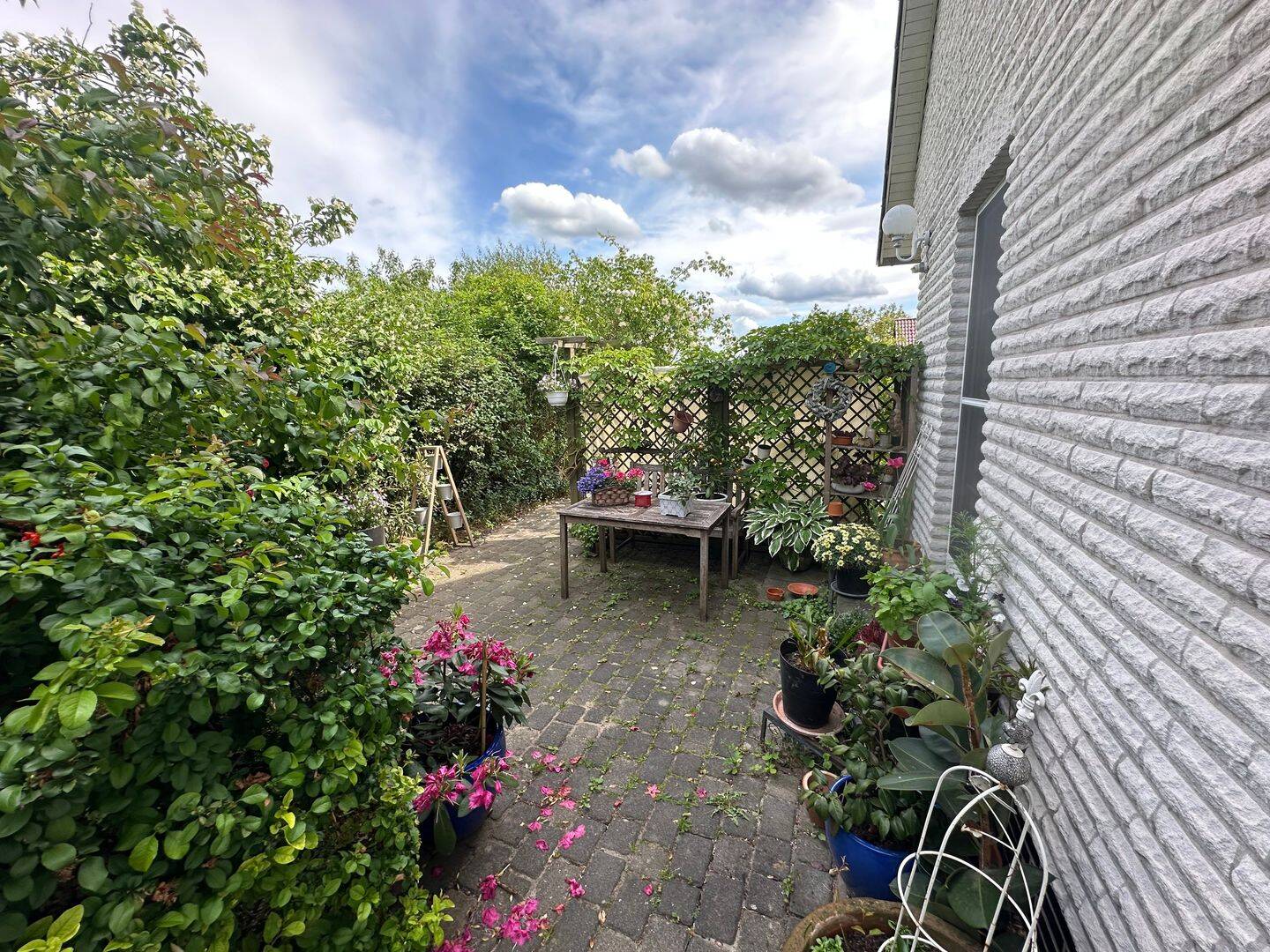 Bild 15