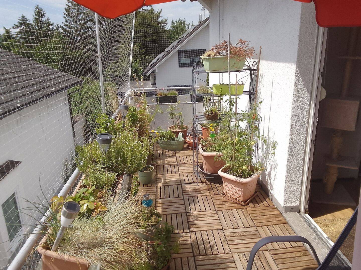 Bild 4