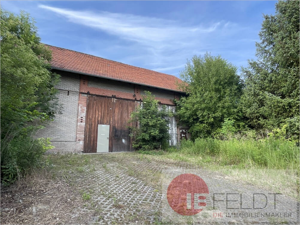Bild 12