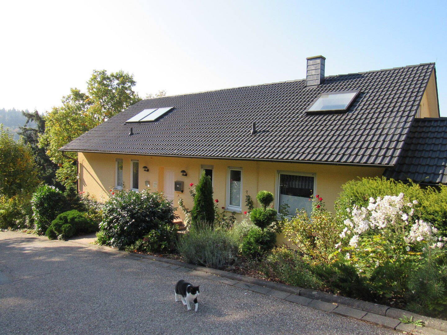 Bild 3