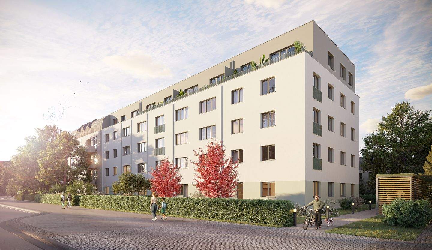 Bild 19
