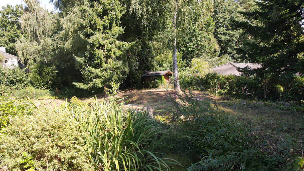 Bild 11