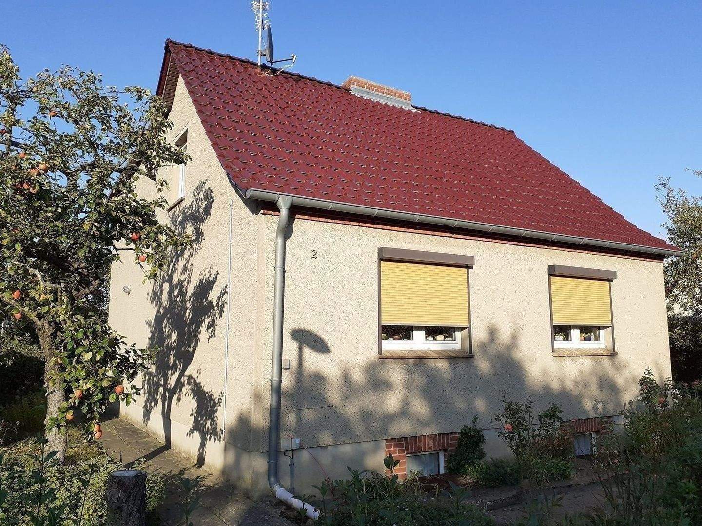Bild 11