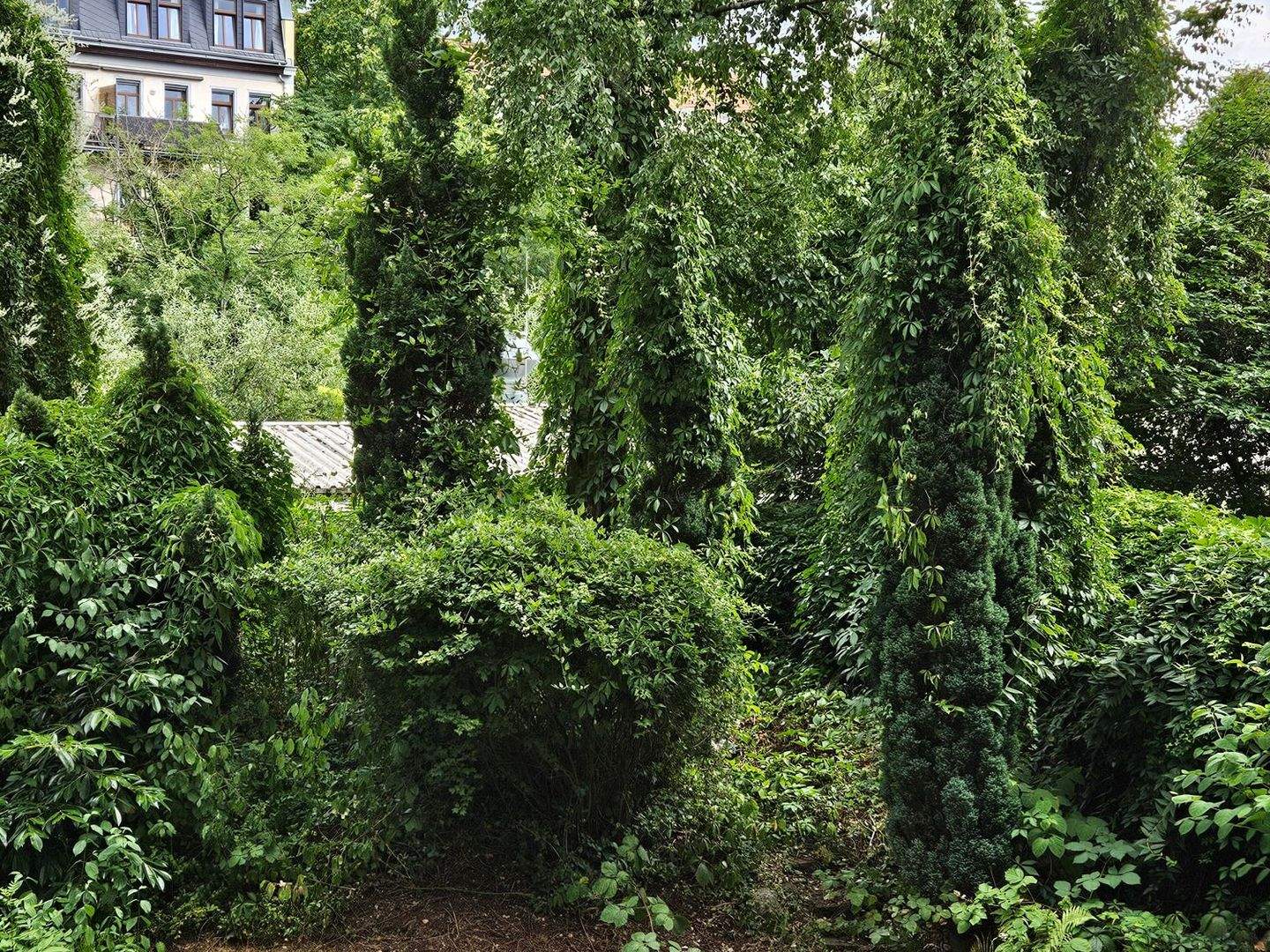 Bild 9