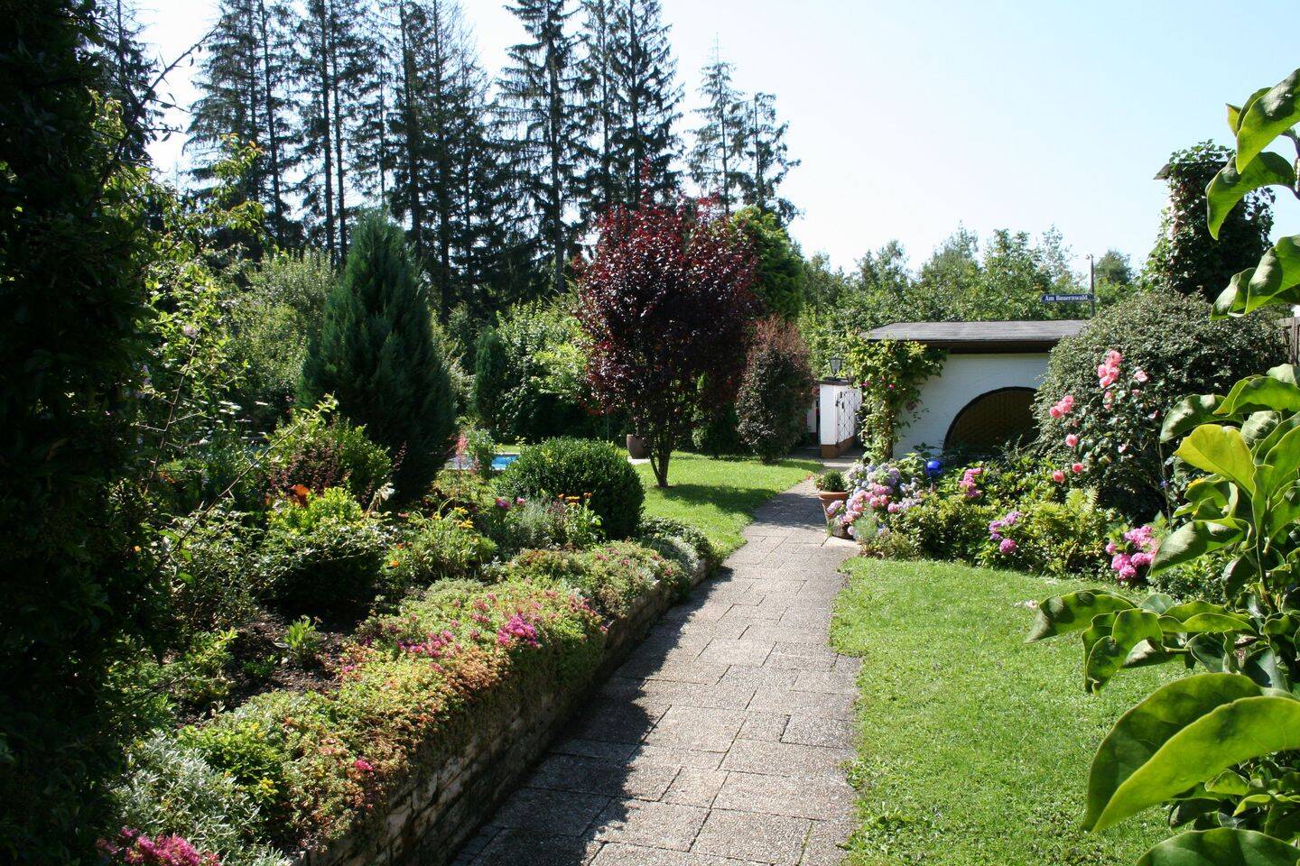 Bild 5