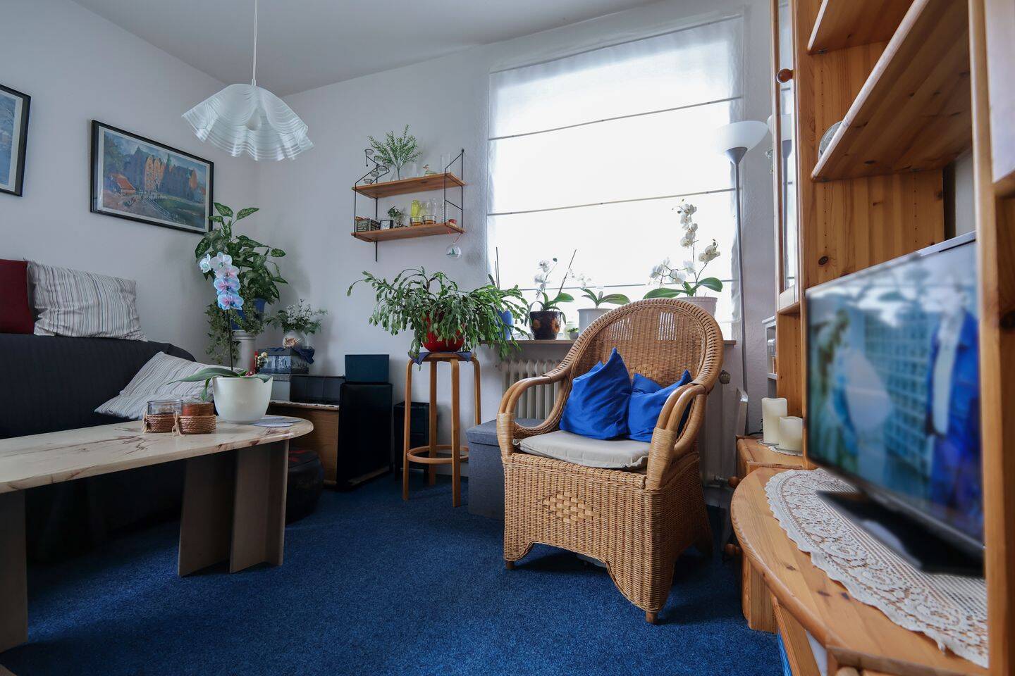 Bild 5