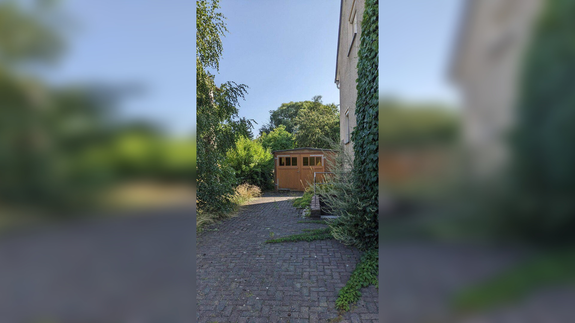 Bild 5