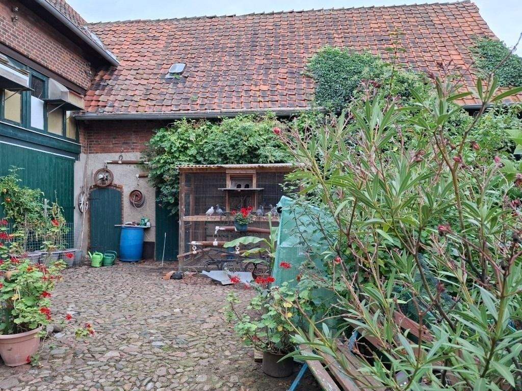Bild 7