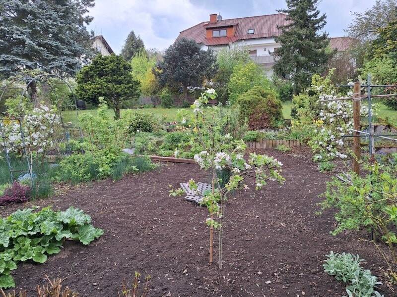 Bild 9