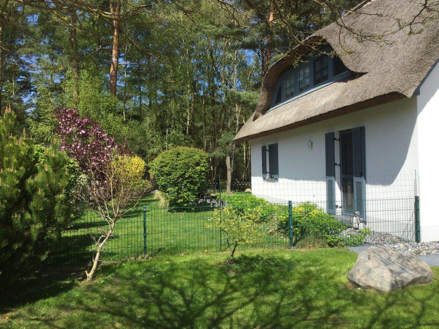 Bild 12