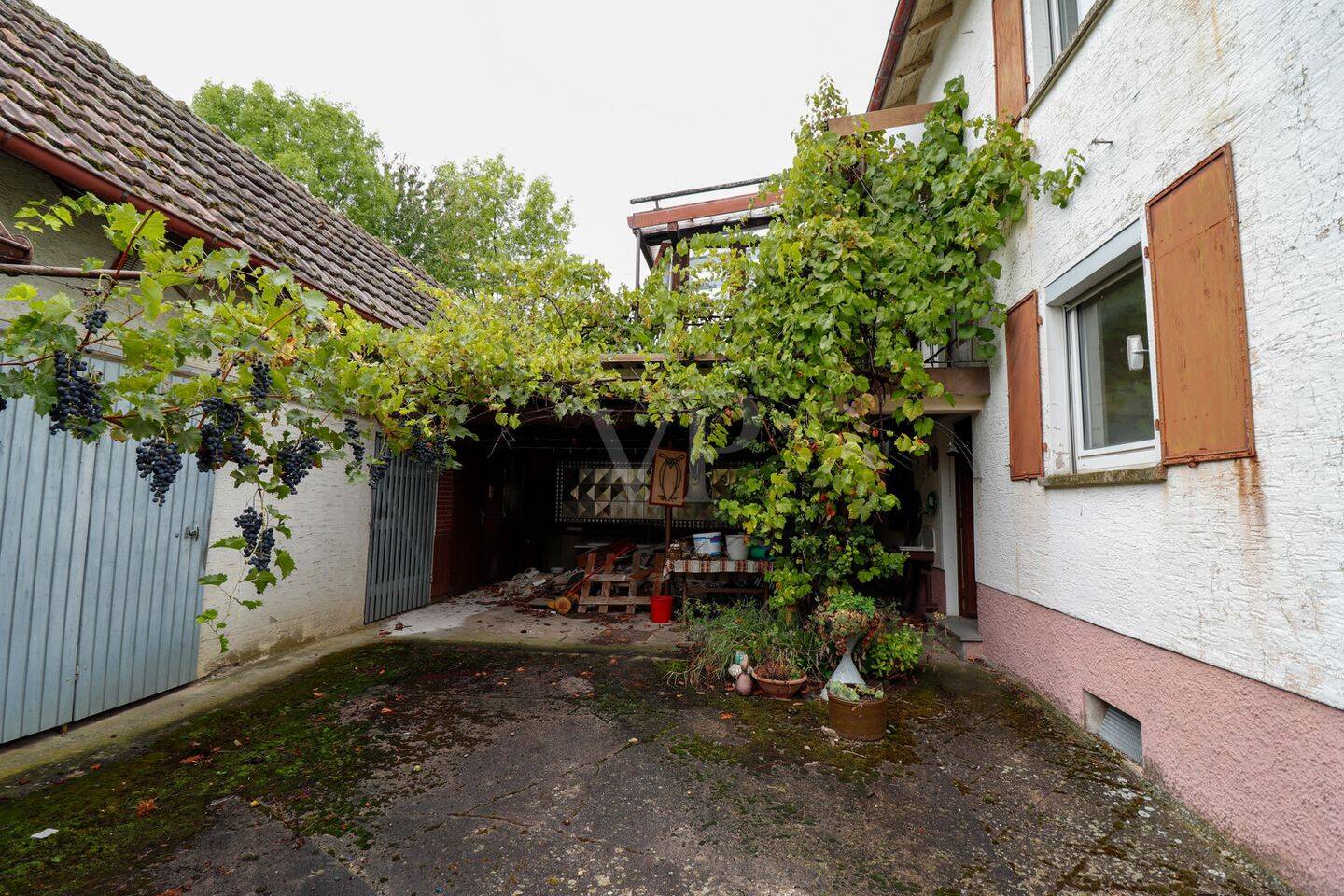 Bild 6