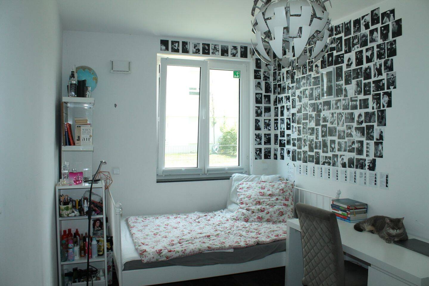 Bild 8