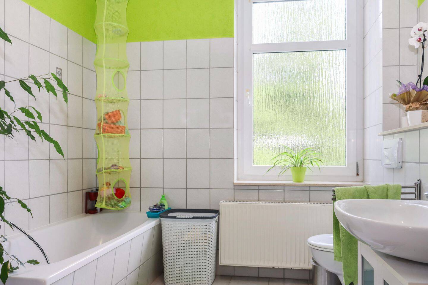 Bild 8
