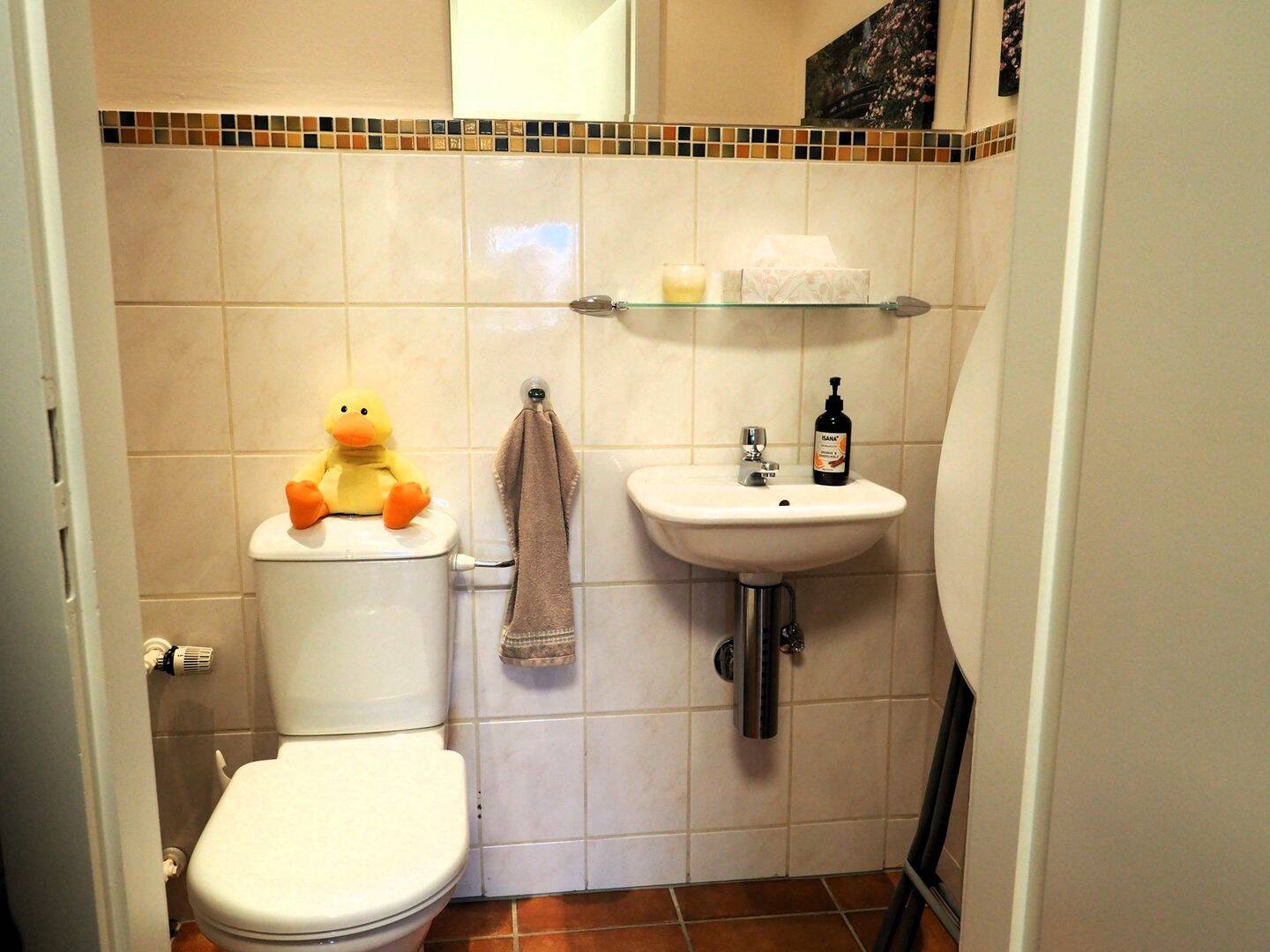 Bild 5