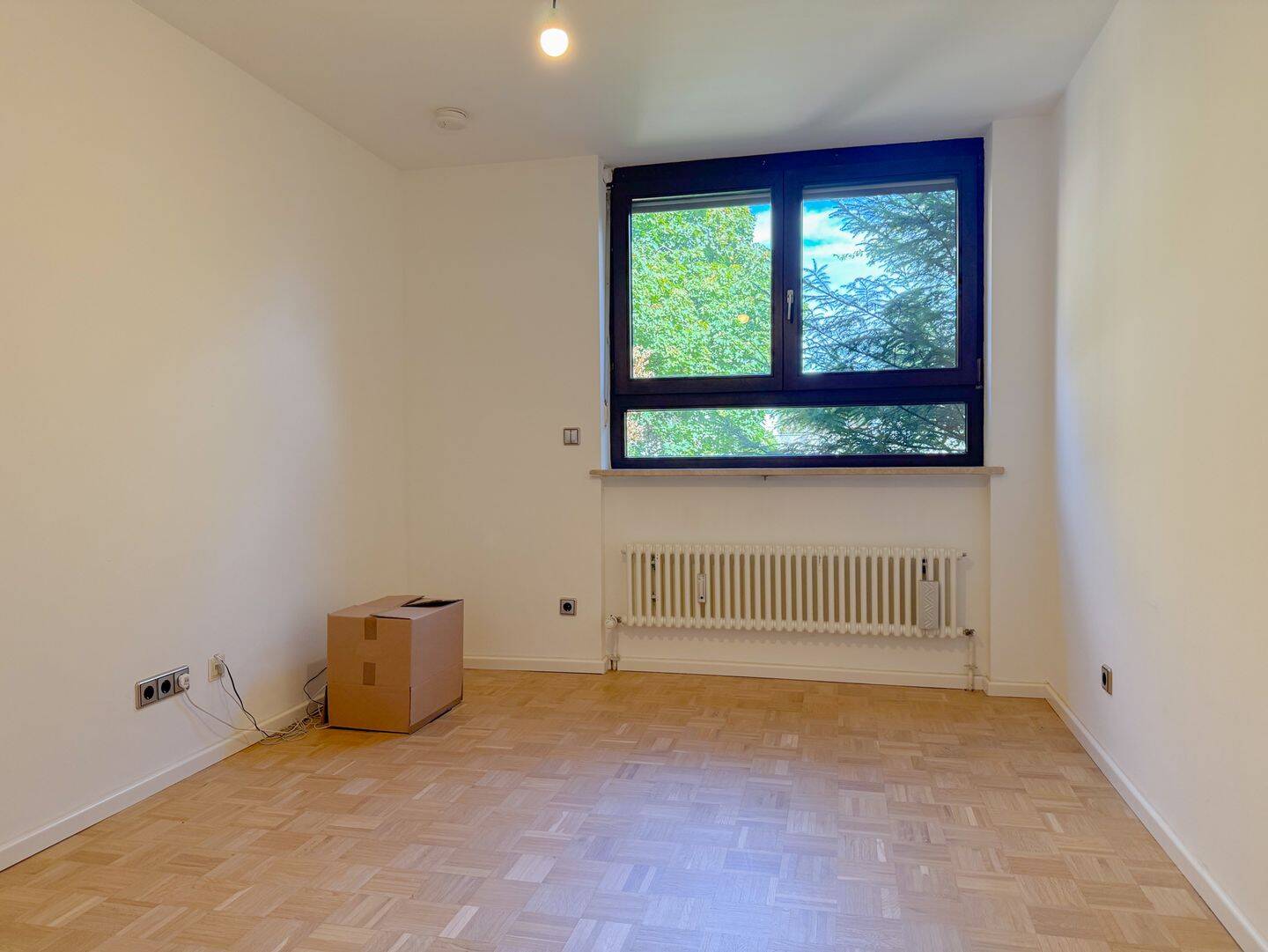 Bild 11
