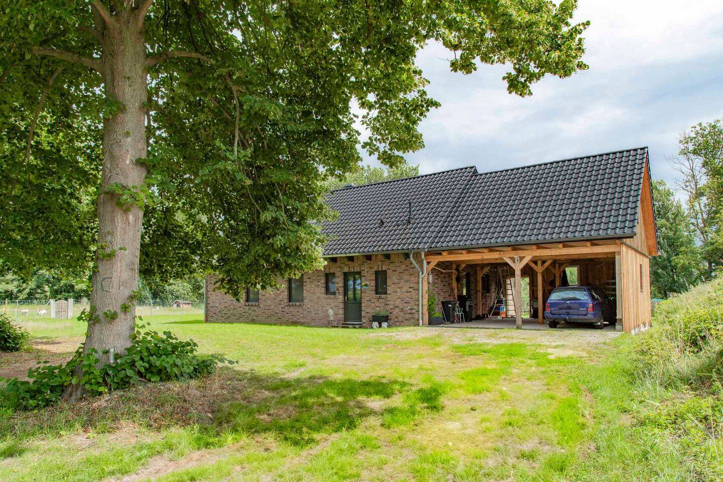 Bild 12