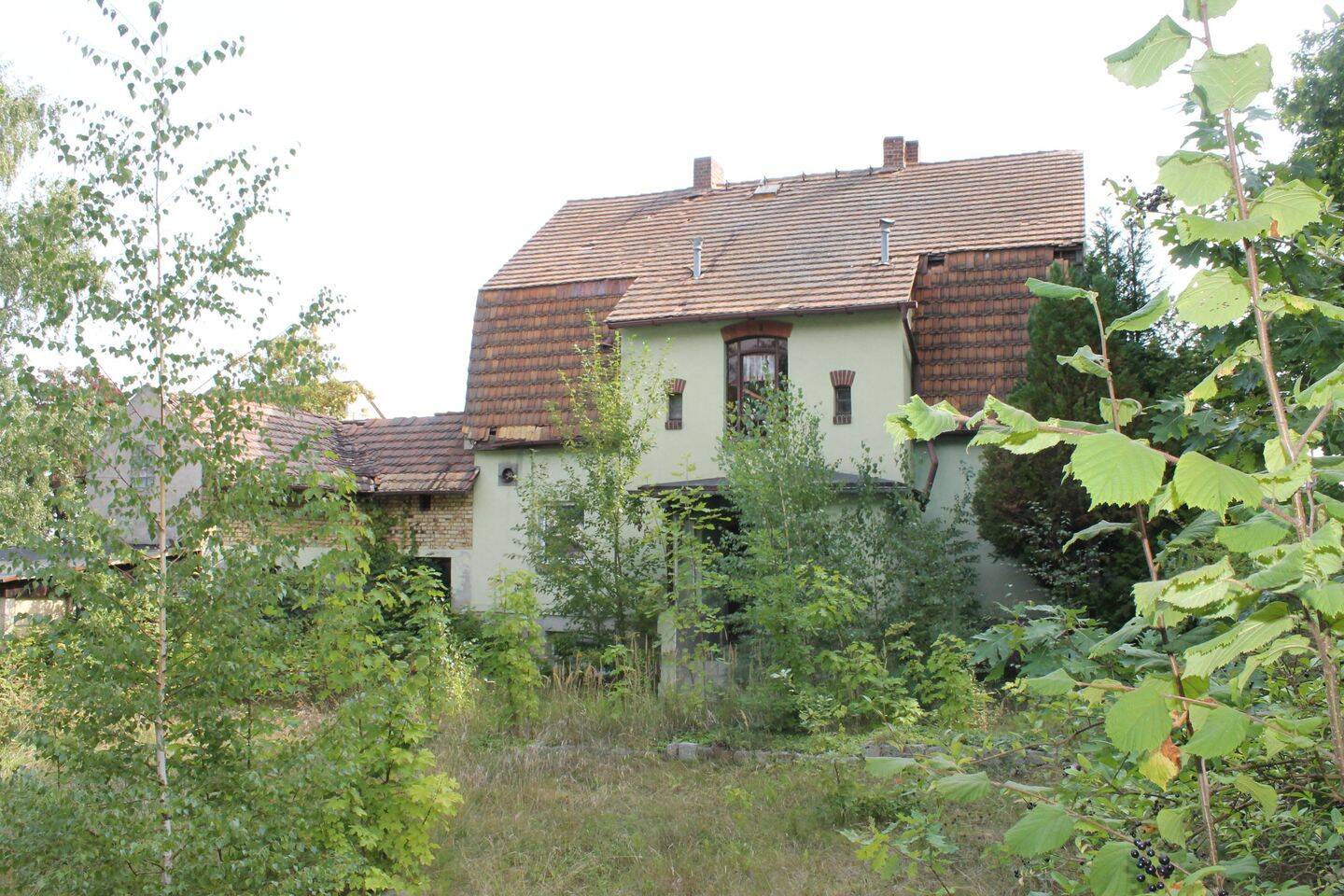 Bild 5