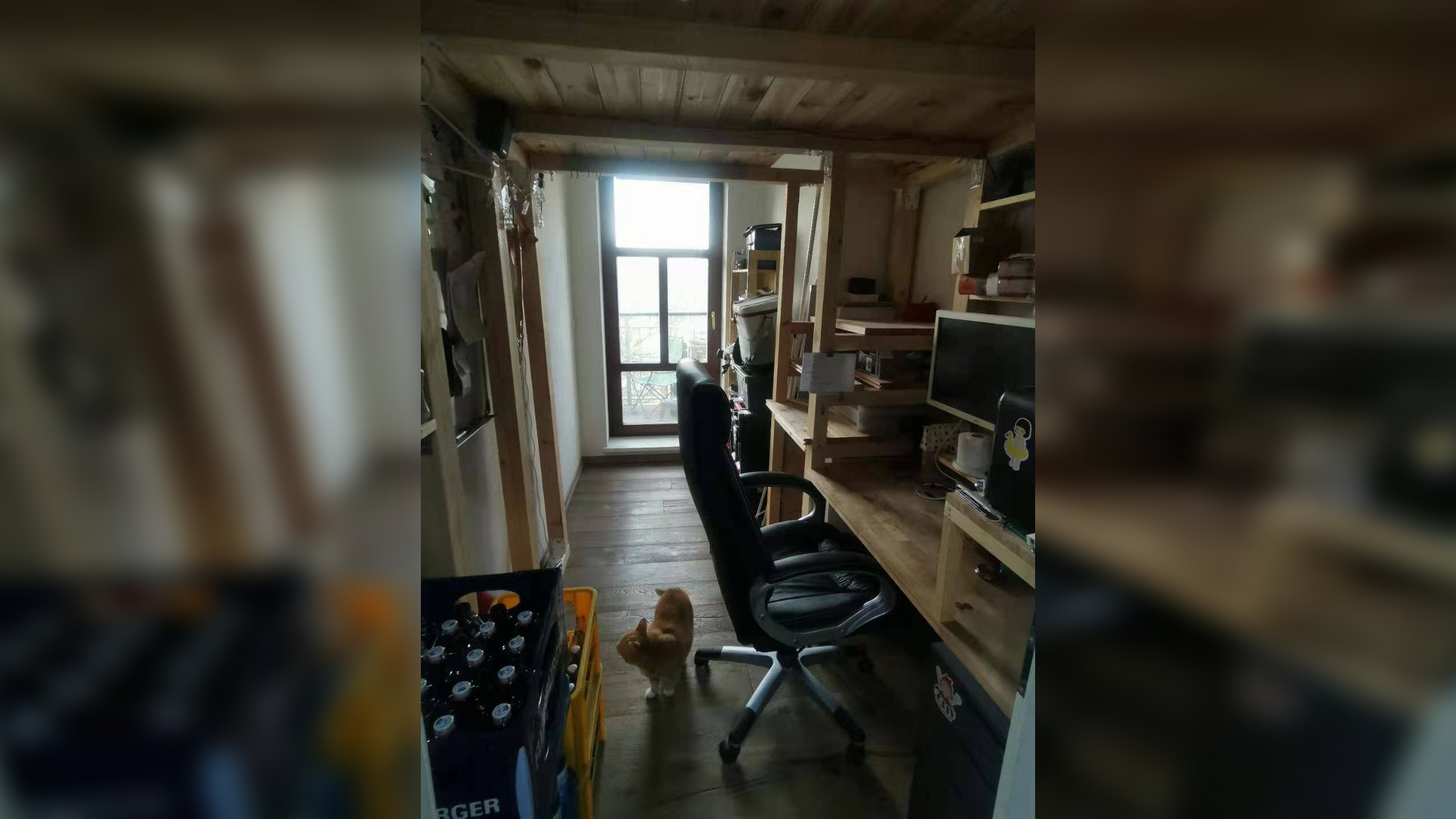 Bild 11