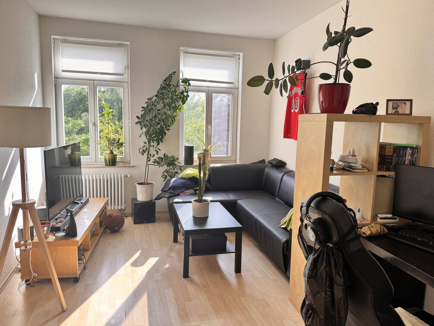 Bild 12