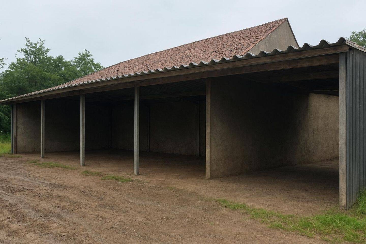 Bild 19