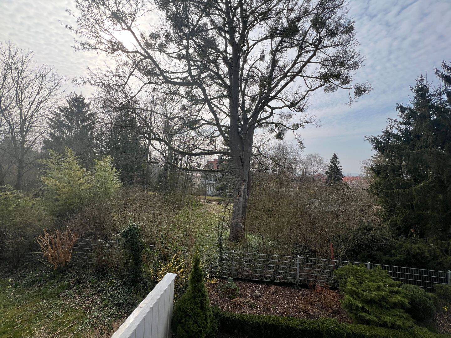 image-68786254