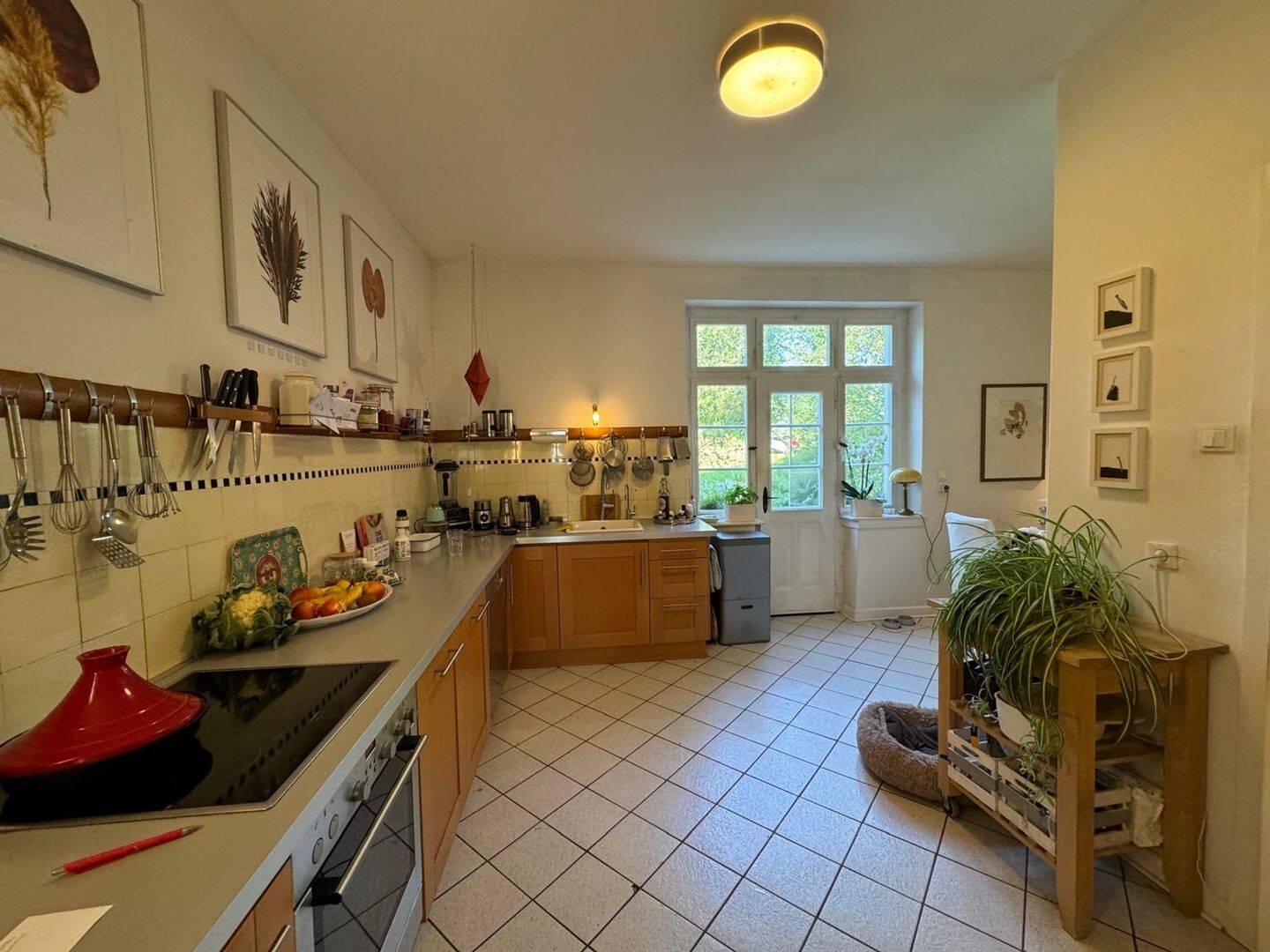 Bild 8