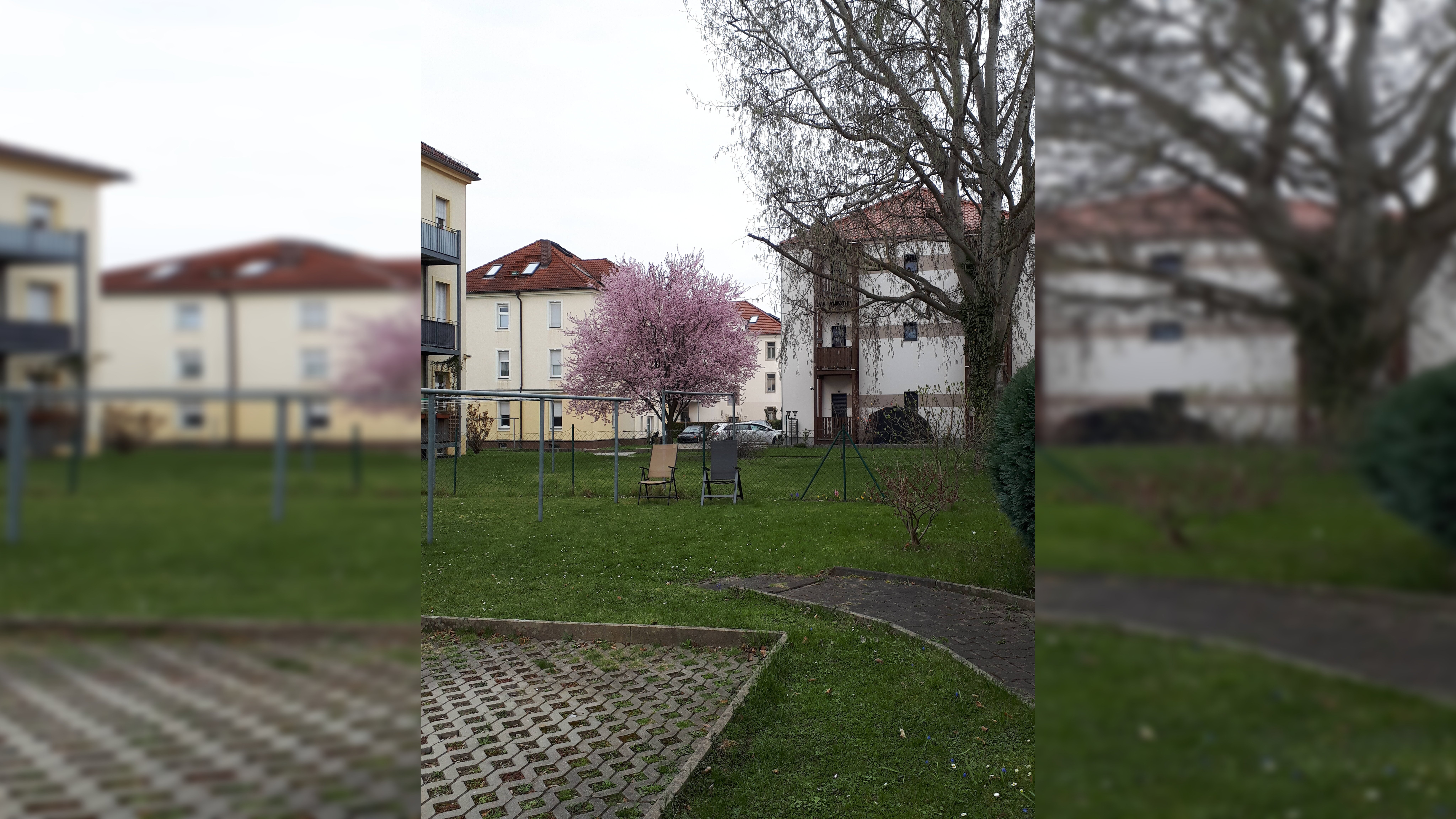 image-59359759