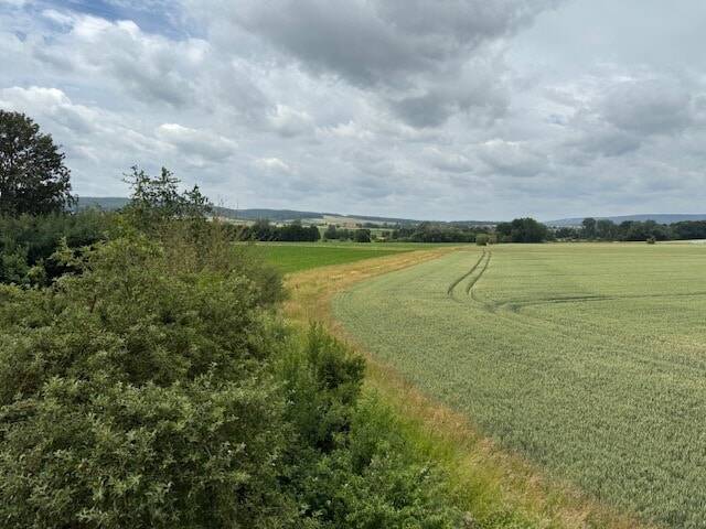 Bild 18