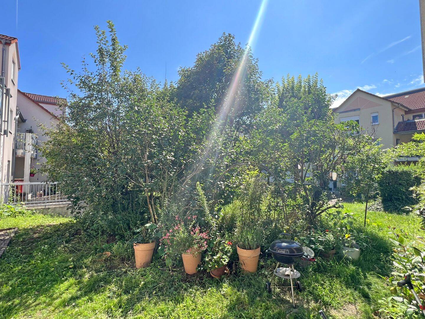Bild 15