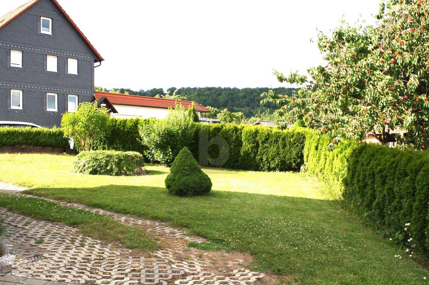 Bild 5