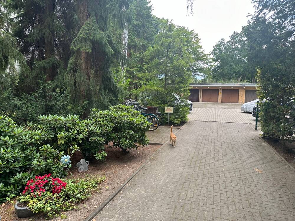 Bild 8