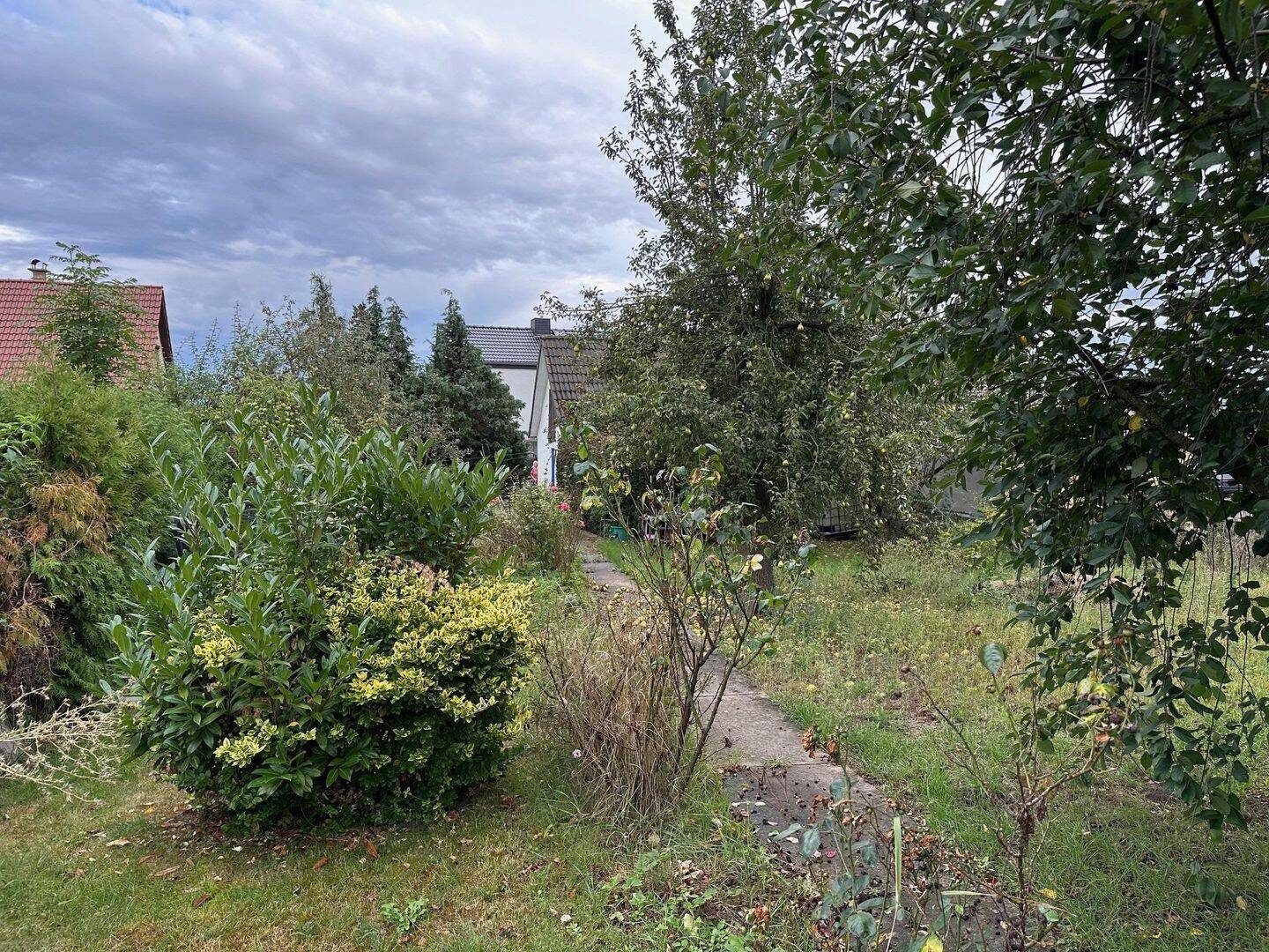 Bild 11
