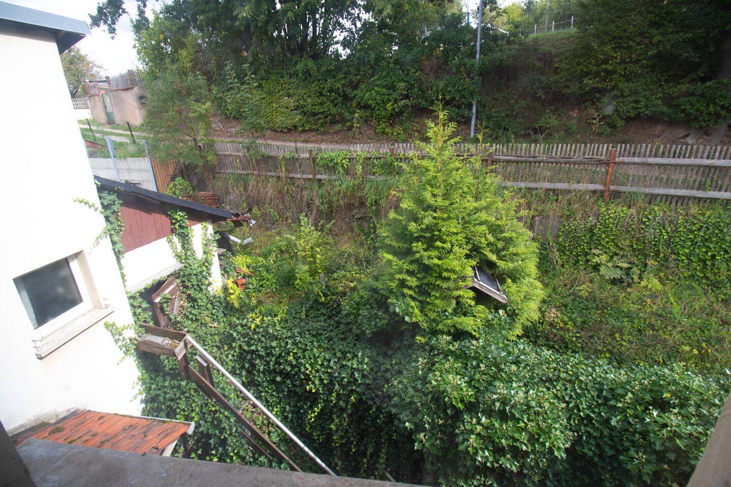 Bild 9
