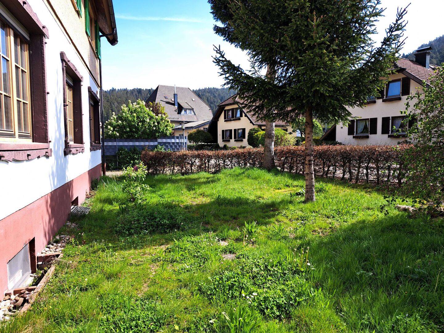 Bild 11