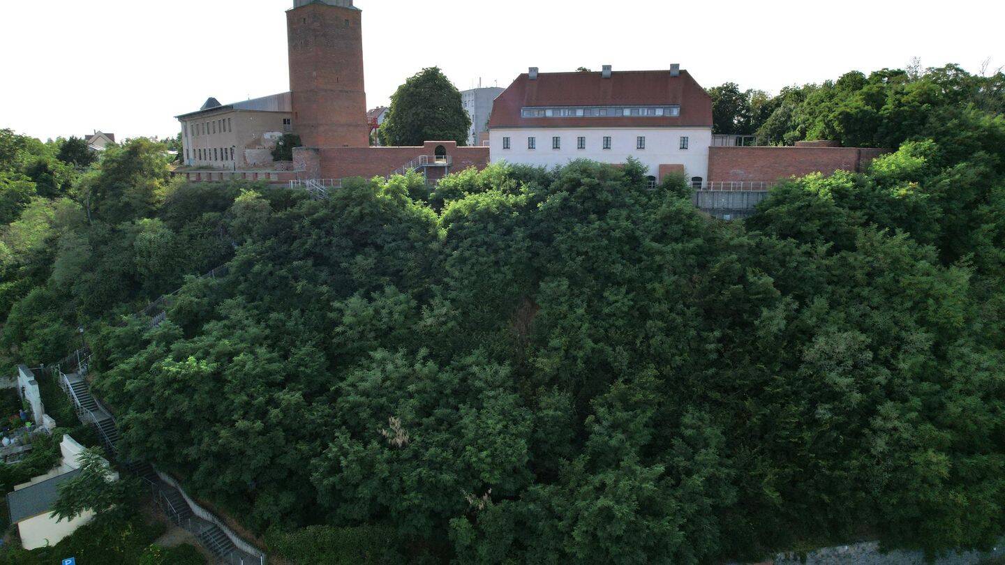 Bild 8