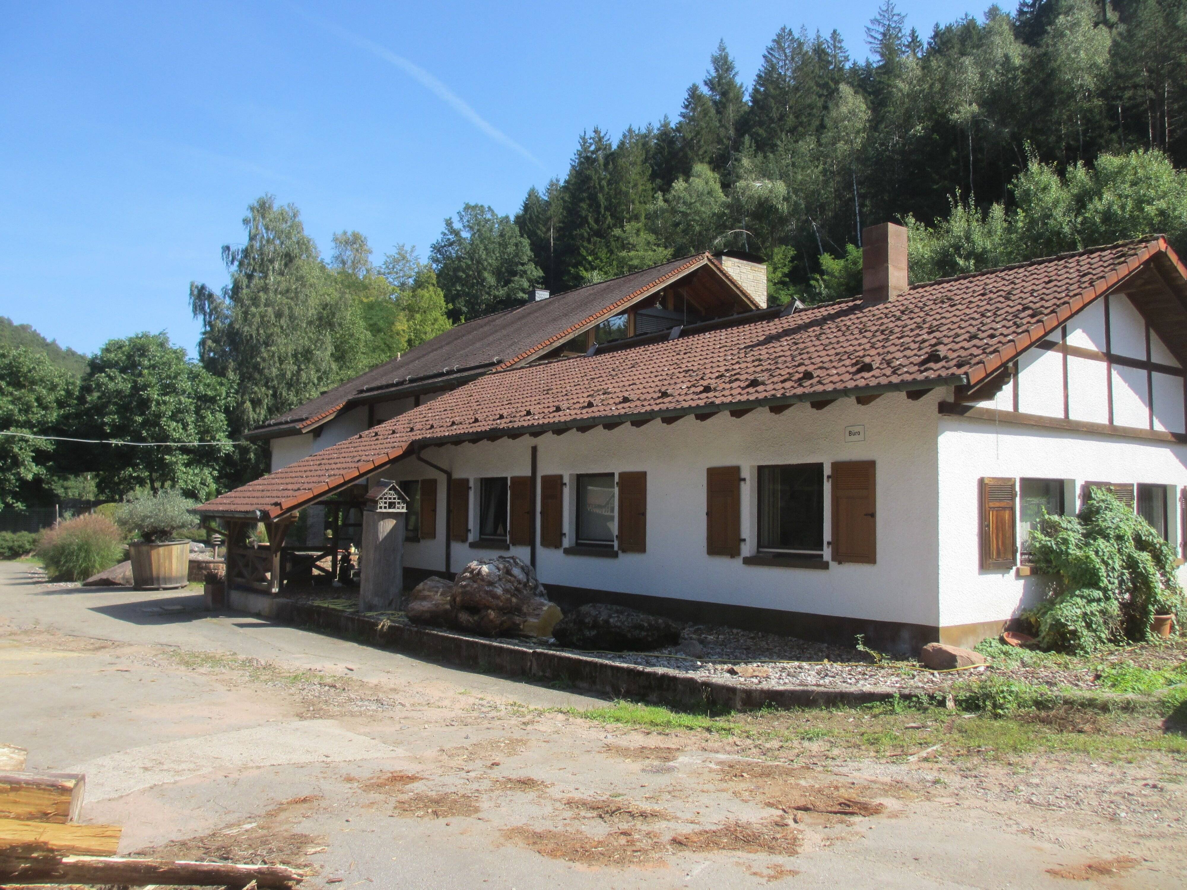Bild 7
