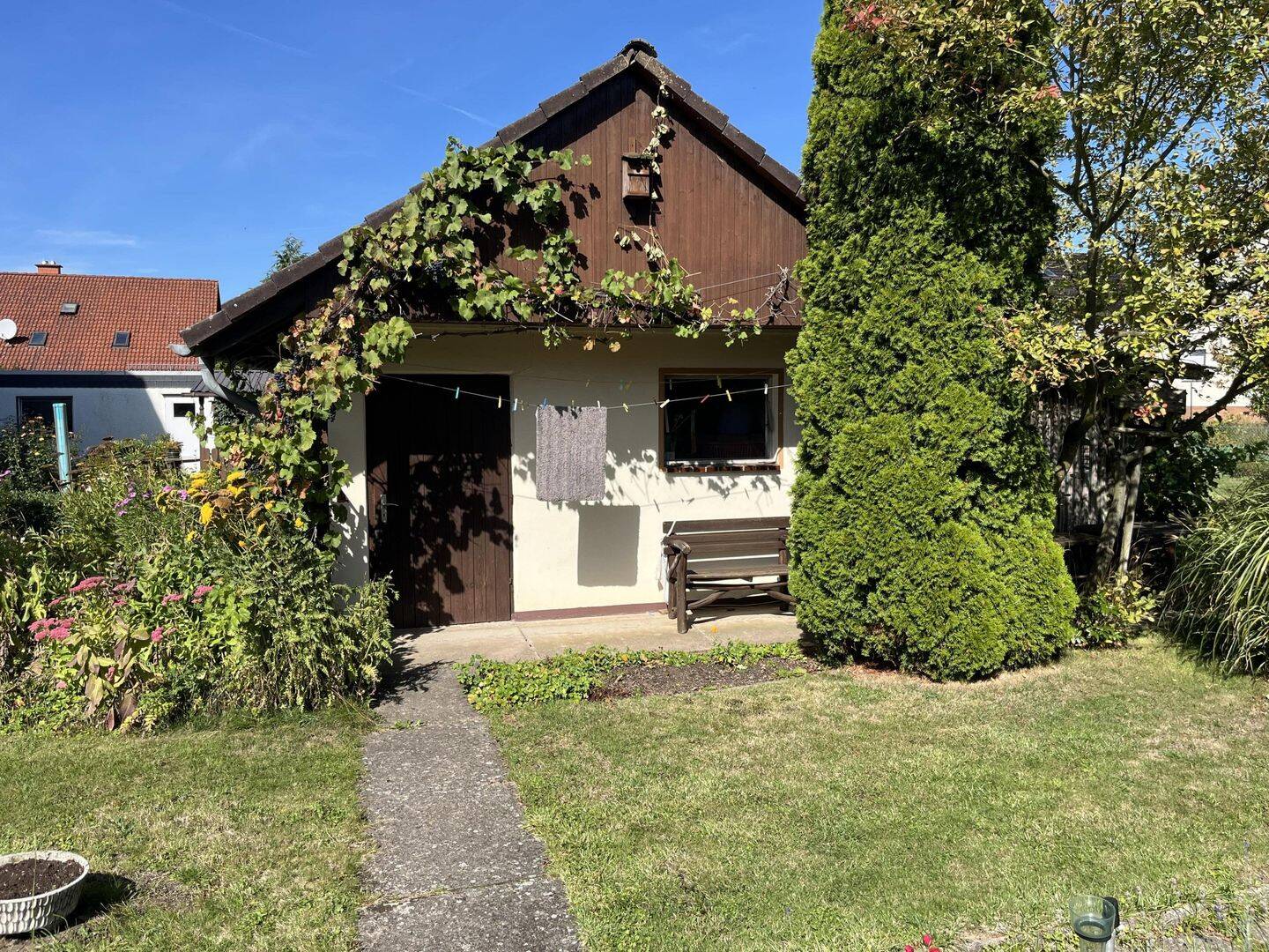 Bild 7